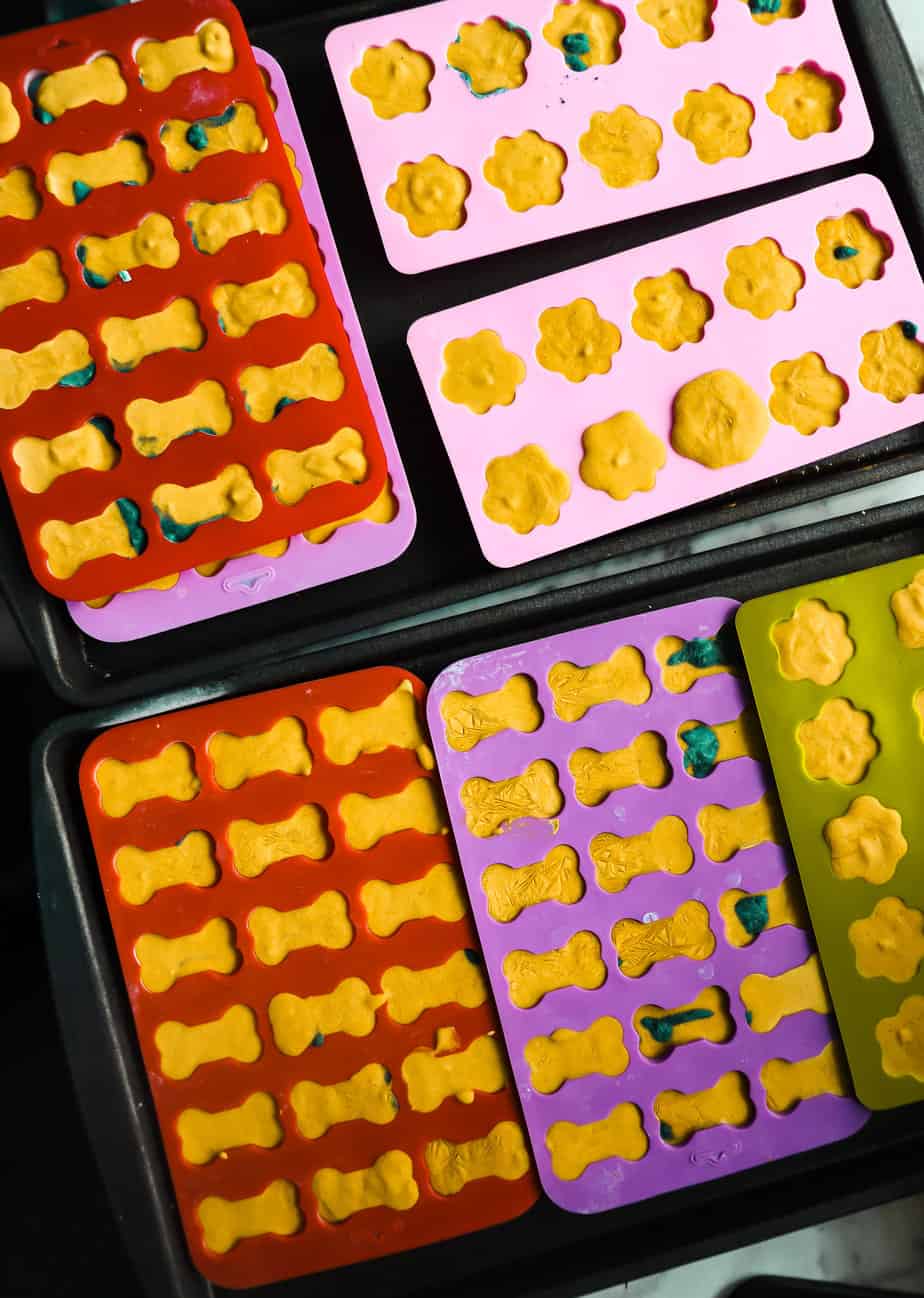silicone molds for dog treats