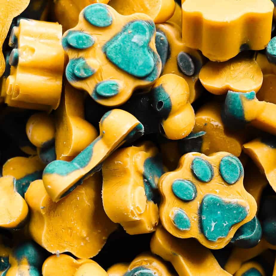 Pumpkin Turmeric and Spirulina Frozen Yogurt Dog Treats