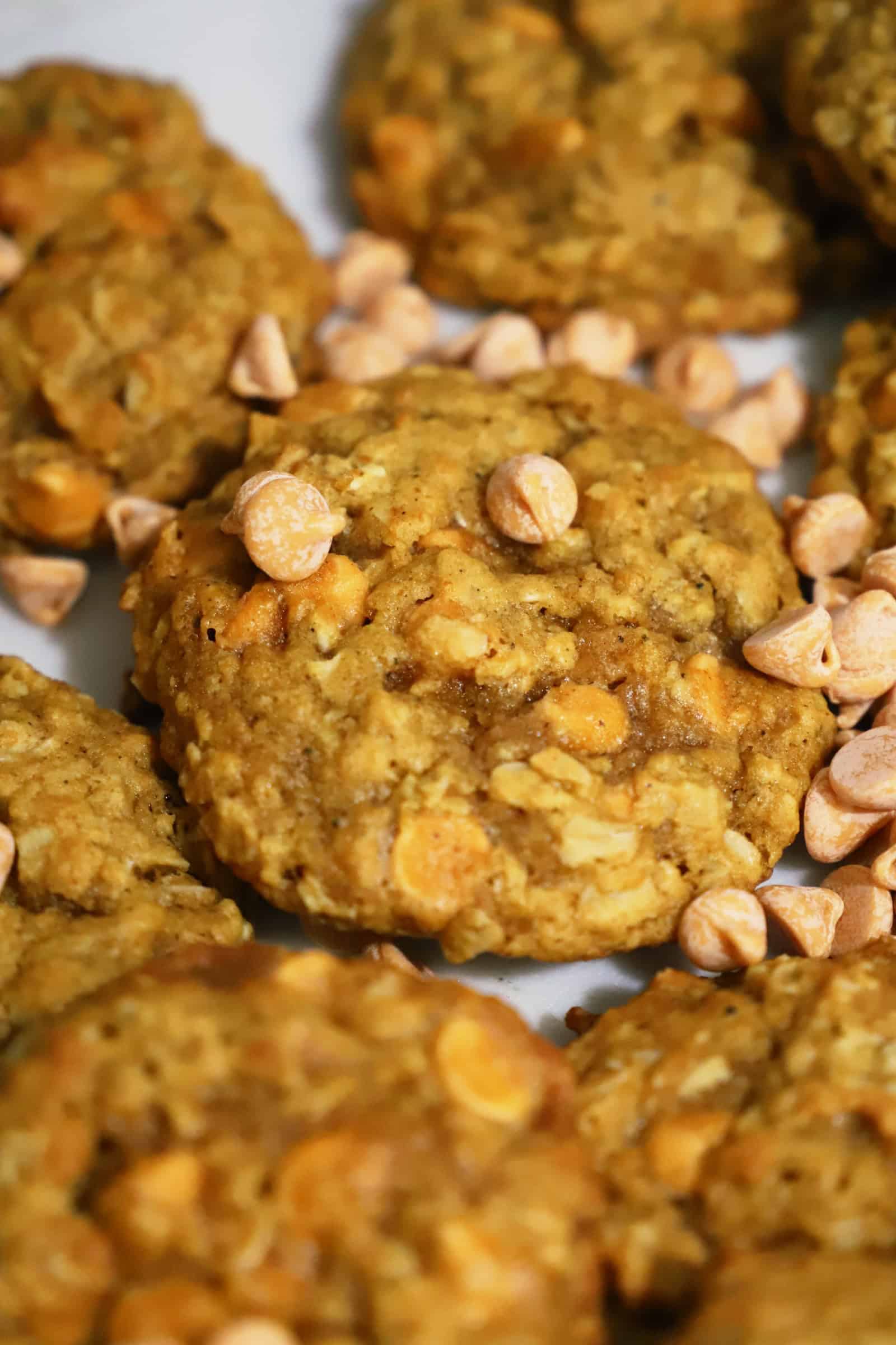 pumpkin butterscotch oatmeal cookies