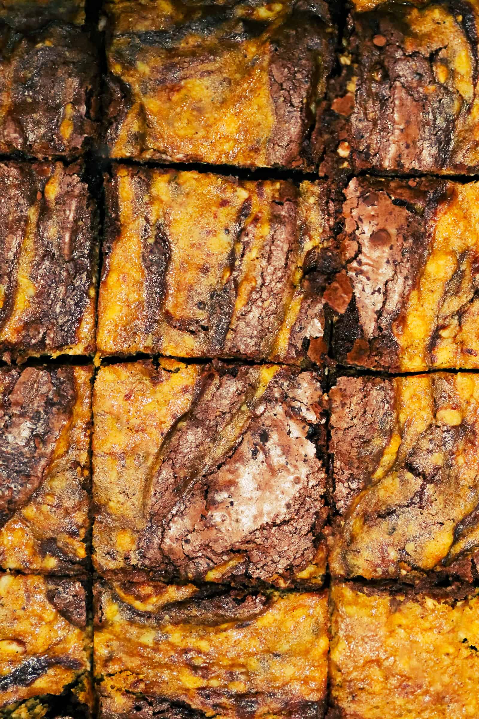 pumpkin cheesecake swirl chocolate fudge brownies