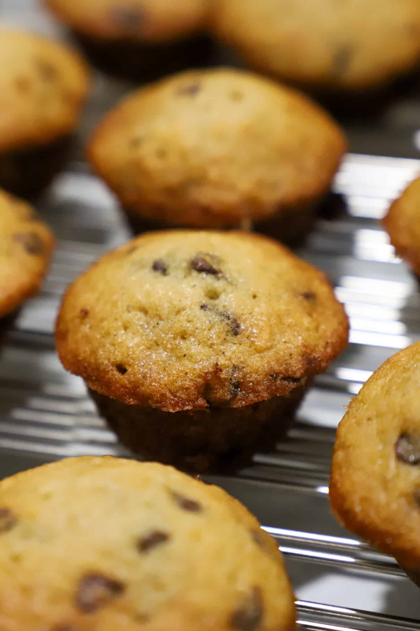 banana chocolate chip mini muffins